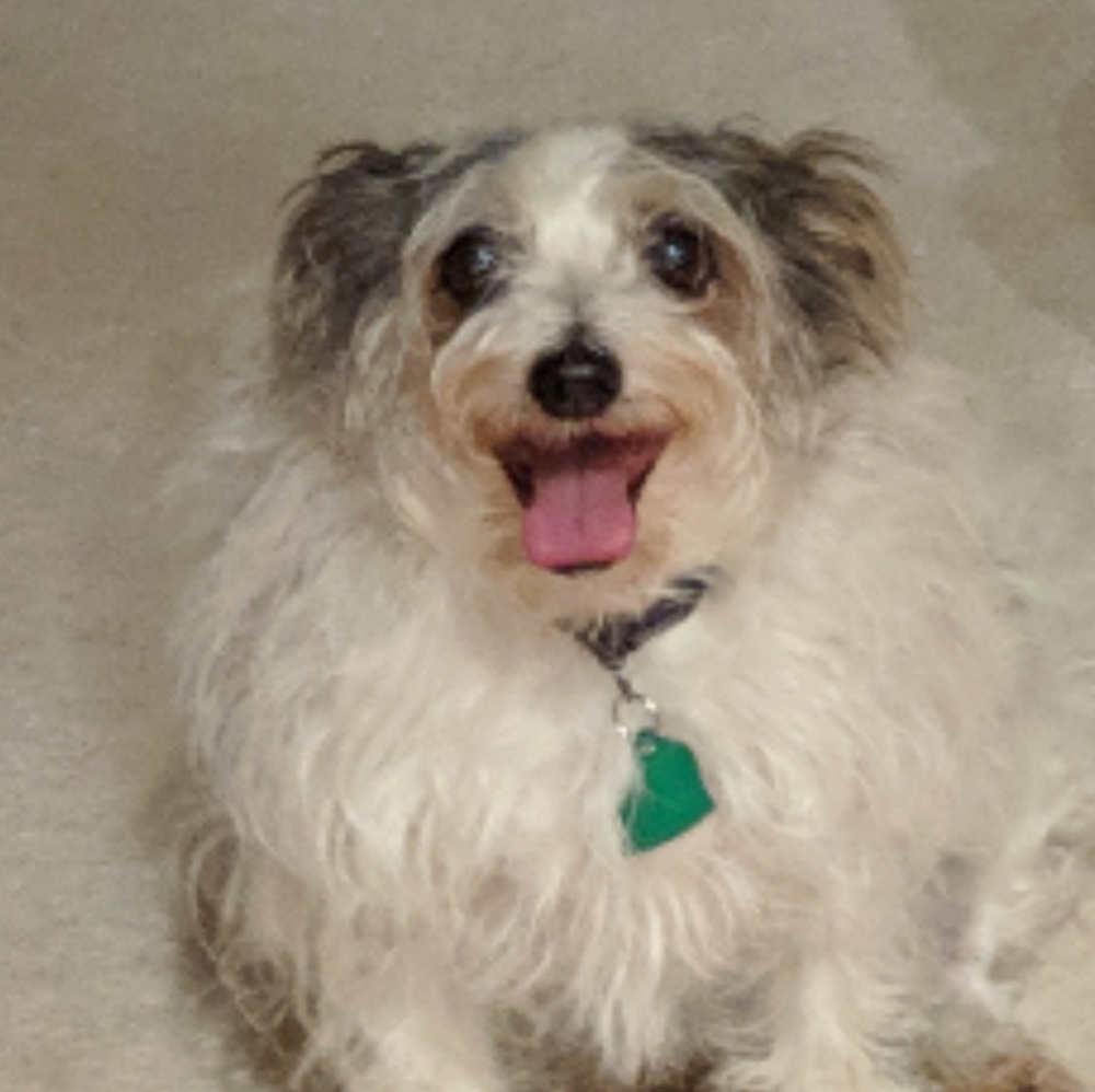 Meet your Posher, Lana